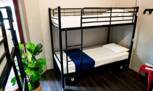 The Jack Backpackers Hostel Cairns Exterior photo